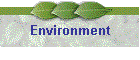 Environment