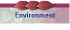 Environment