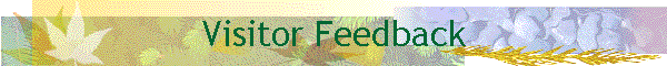 Visitor Feedback
