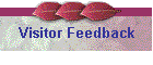 Visitor Feedback