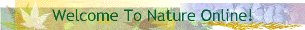 Welcome To Nature Online!